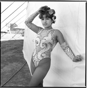 Norma I. Quintana: Circus