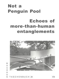 Not a Penguin Pool