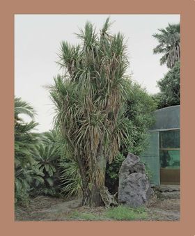 Oksun Kim: Jeju Island