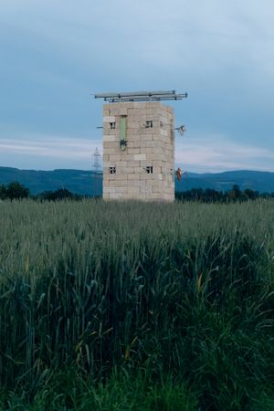 Palazzina: Ring Everywhere