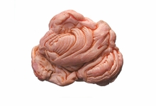 Pam Longobardi: Drifters