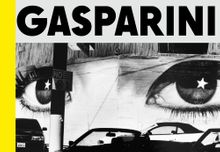 Paolo Gasparini: Field of Images