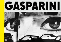 Paolo Gasparini: Field of Images