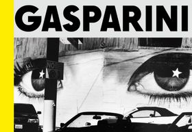 Paolo Gasparini: Field of Images