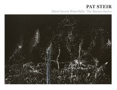 Pat Steir: Silent Secret Waterfalls