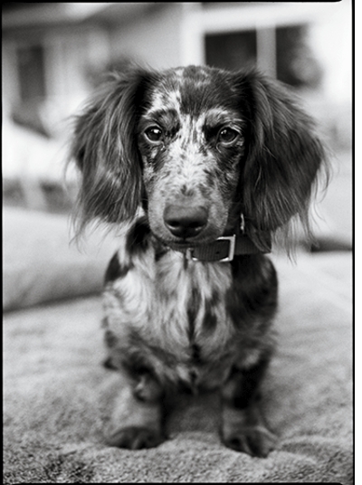 Patrick Demarchelier