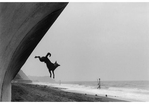 Peter Fetterman Gallery presents Roger A. Deakins exhibition and 'Byways' signing