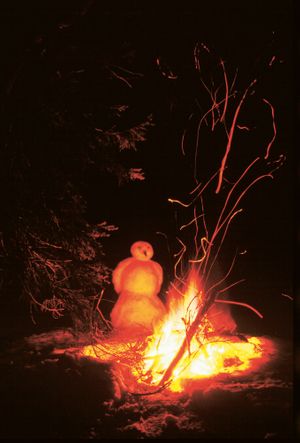 Peter Fischli & David Weiss: Snowman