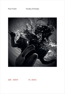 Peter Fischli: Tuesday till Sunday