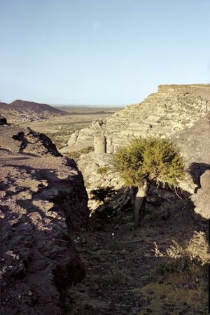 Peter Schlesinger: Eight Days in Yemen