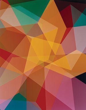 Photography at MoMA: 1960 to Now