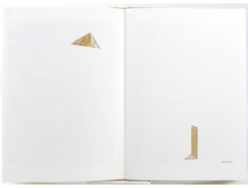 Pia Fries: Merians Surinam