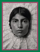Pieter Henket: Birds of Mexico City