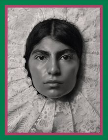 Pieter Henket: Birds of Mexico City