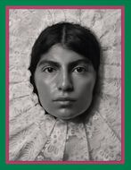 Pieter Henket: Birds of Mexico City