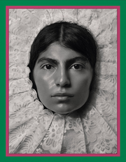 Pieter Henket: Birds of Mexico City