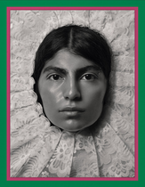 Pieter Henket: Birds of Mexico City