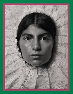 Pieter Henket: Birds of Mexico City