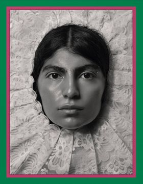 Pieter Henket: Birds of Mexico City