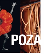 POZA: On the Polishness of Polish Contemporary Art