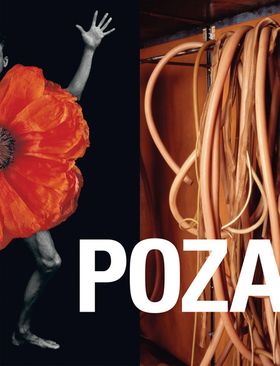 POZA: On the Polishness of Polish Contemporary Art