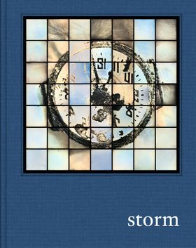 Prix Pictet: Storm