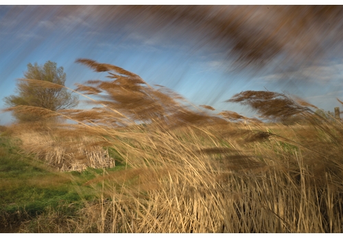 Rachel Cobb launches 'Mistral' at Books & Books Coral Gables