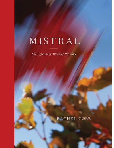 Rachel Cobb presents 'Mistral' at Albertine