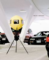 Rachel Harrison: Currents 30