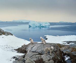 Ragnar Axelsson: Last Days of the Arctic
