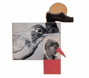 Ray Johnson