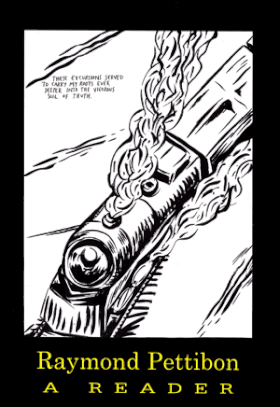 Raymond Pettibon: A Reader