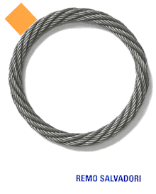 Remo Salvadori<br> <br>