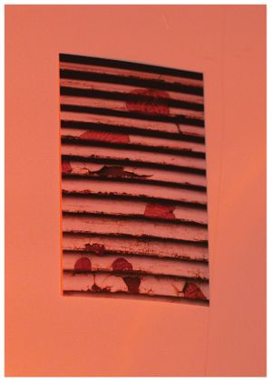 Residencies Reflected