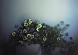 Richard Learoyd: Day for Night