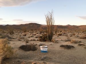 Richard Misrach and Guillermo Galindo: Border Cantos