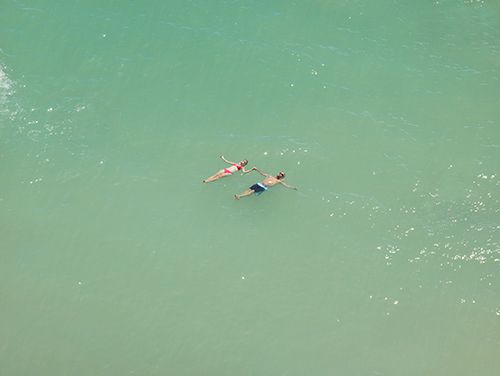 Beach Seeing: Richard Misrach: The Mysterious Opacity of Other Beings