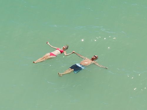 Beach Seeing: Richard Misrach: The Mysterious Opacity of Other Beings