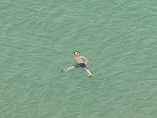 Beach Seeing: Richard Misrach: The Mysterious Opacity of Other Beings