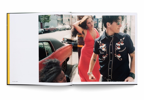 Rizzoli Bookstore presents Chloe Sherman and Noelle Flores Thard on 'Renegades: San Francisco, The 1990s'