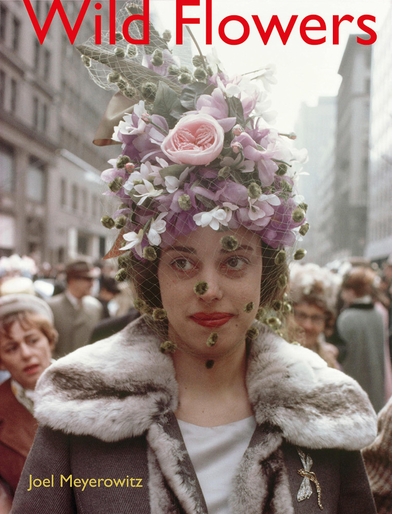 Rizzoli presents the virtual book launch of 'Joel Meyerowitz: Wild Flowers'