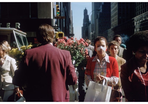Rizzoli presents the virtual book launch of 'Joel Meyerowitz: Wild Flowers'
