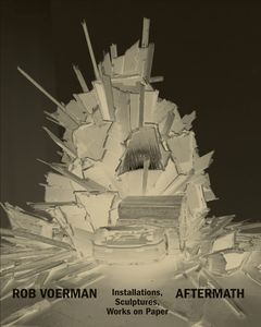 Rob Voerman: Aftermath