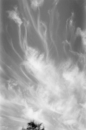 Robert Adams: Along the Canadian Border