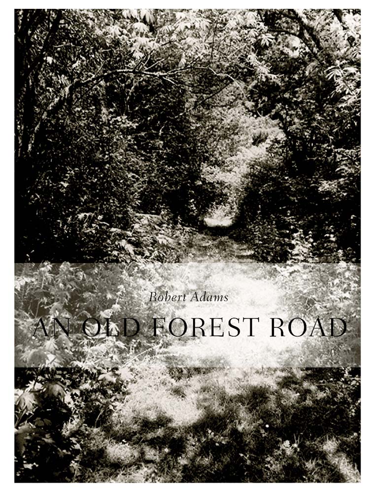 Robert Adams An Old Forest Road ARTBOOK | D.A.P. 2017 Catalog 