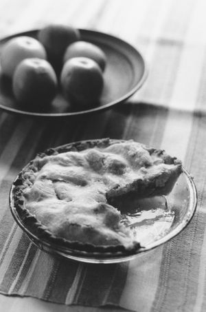 Robert Adams: Around the House