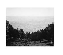 Robert Adams: From the Missouri West