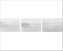 Robert Adams: Light Balances / On Any Given Day in Spring