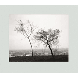 Robert Adams Exhibition Catalogs, Books, Bibliography, Biography