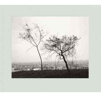 Robert Adams Los Angeles Spring ARTBOOK | D.A.P. 2023